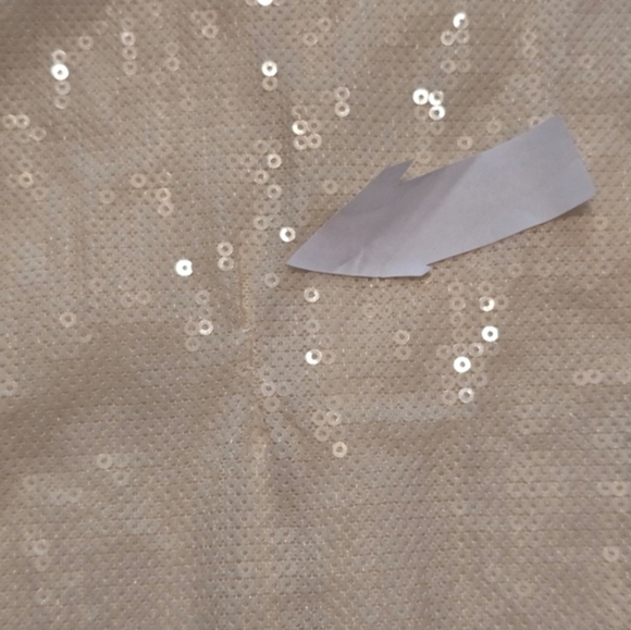 Rosetta Getty Sequin Short Sleeve Maxi Dress In Cream Size M - Picture 5 of 12